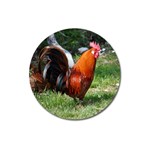 Rooster Magnet 3  (Round)