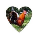 Rooster Magnet (Heart)