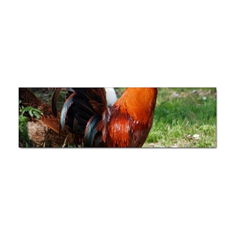 Rooster Sticker Bumper (100 pack) from ArtsNow.com Front