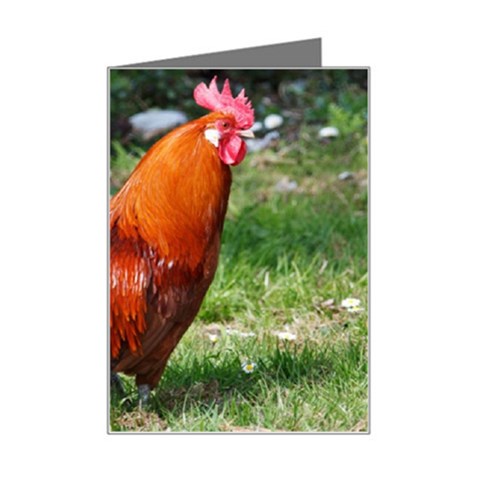 Rooster Mini Greeting Card from ArtsNow.com Left