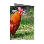 Rooster Mini Greeting Cards (Pkg of 8)