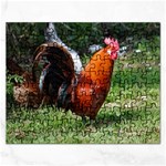 Rooster Jigsaw Puzzle (Rectangular)