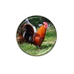 Rooster Hat Clip Ball Marker
