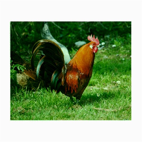 Rooster Small Glasses Cloth from ArtsNow.com Front