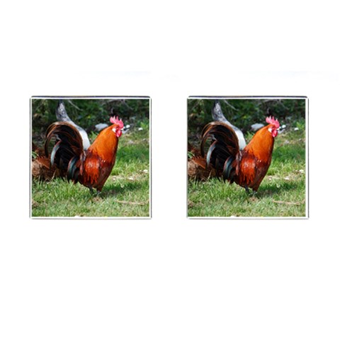 Rooster Cufflinks (Square) from ArtsNow.com Front(Pair)