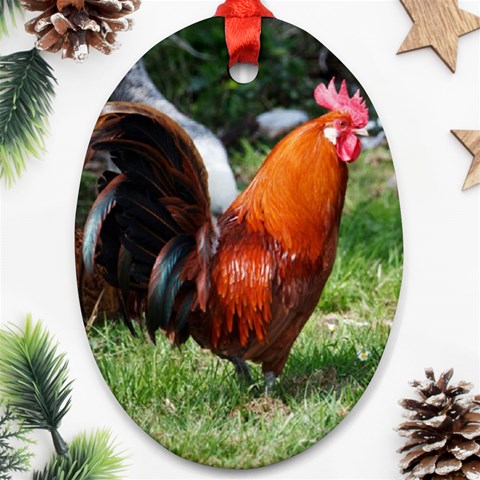Rooster Oval Ornament (Two Sides) from ArtsNow.com Front
