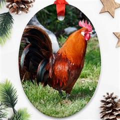 Rooster Oval Ornament (Two Sides) from ArtsNow.com Back