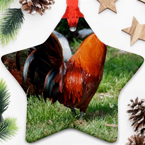 Rooster Star Ornament (Two Sides) from ArtsNow.com Front