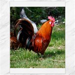 Rooster Canvas 36  x 48 