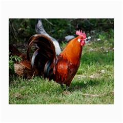 Rooster Small Glasses Cloth (2 Sides) from ArtsNow.com Front