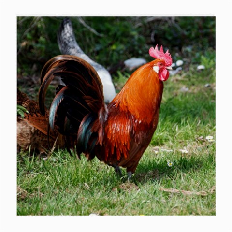 Rooster Medium Glasses Cloth from ArtsNow.com Front