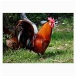 Rooster Large Glasses Cloth