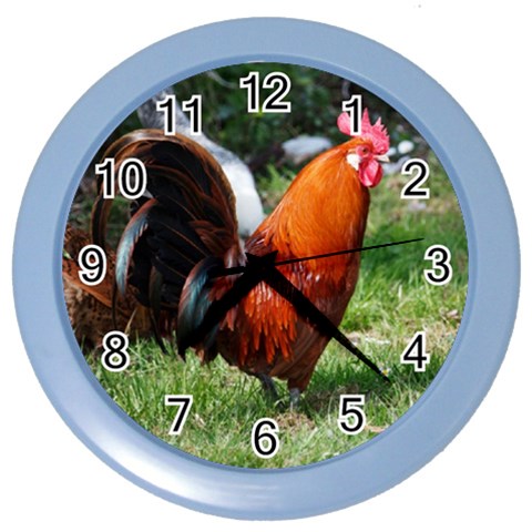 Rooster Color Wall Clock from ArtsNow.com Front