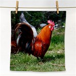 Rooster Face Towel