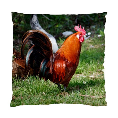 Rooster Standard Cushion Case (Two Sides) from ArtsNow.com Front