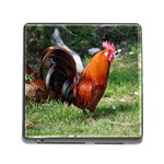 Rooster Memory Card Reader (Square)