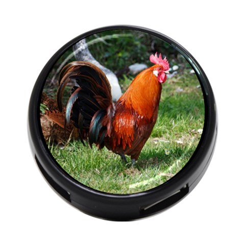 Rooster 4 Front