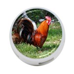 Rooster 4-Port USB Hub (Two Sides)