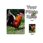 Rooster Playing Cards 54 (Mini)