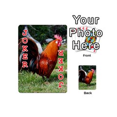 Rooster Playing Cards 54 (Mini) from ArtsNow.com Front - Joker2