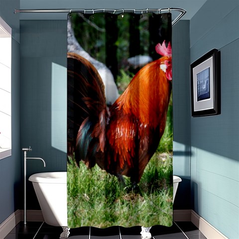 Rooster Shower Curtain 36  x 72  (Stall) from ArtsNow.com Curtain(36 X72 ) - 33.26 x66.24  Curtain(36 X72 )