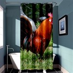 Rooster Shower Curtain 36  x 72  (Stall)