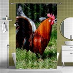 Rooster Shower Curtain 48  x 72  (Small)