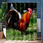 Rooster Shower Curtain 60  x 72  (Medium)