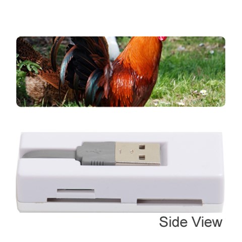 Rooster Memory Card Reader (Stick) from ArtsNow.com Front