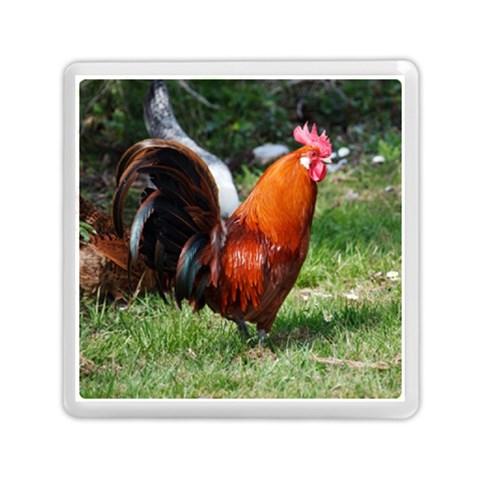 Rooster Memory Card Reader (Square) from ArtsNow.com Front