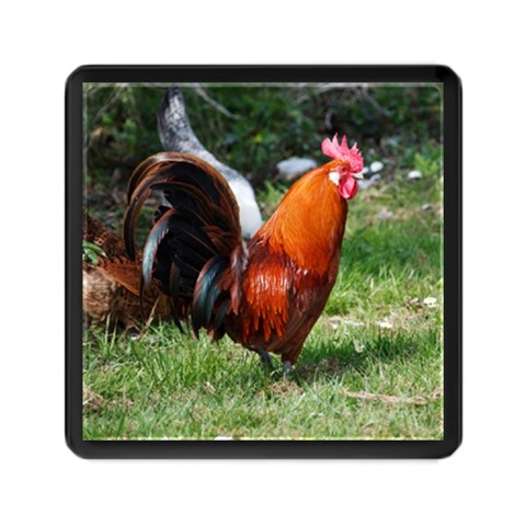 Rooster Memory Card Reader (Square) from ArtsNow.com Front