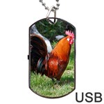 Rooster Dog Tag USB Flash (Two Sides)