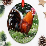 Rooster Ornament (Oval Filigree)