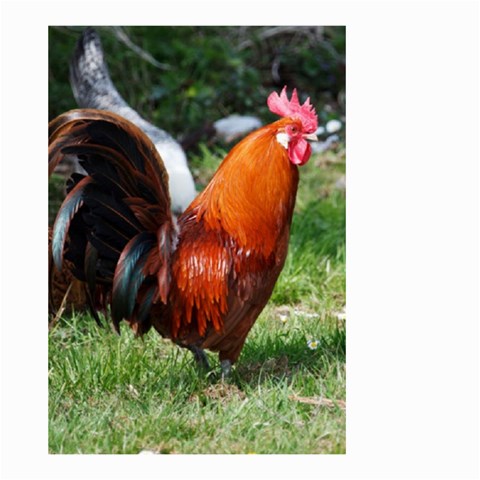 Rooster Small Garden Flag (Two Sides) from ArtsNow.com Front