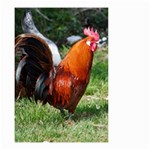 Rooster Small Garden Flag (Two Sides)