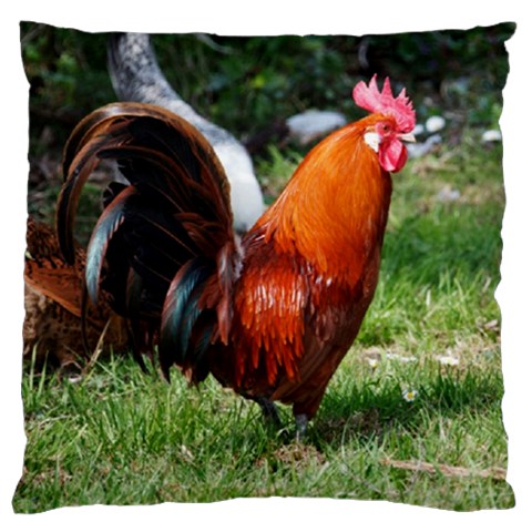 Rooster Large Cushion Case (One Side) from ArtsNow.com Front