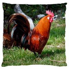 Rooster Large Cushion Case (Two Sides) from ArtsNow.com Back