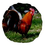 Rooster Large 18  Premium Round Cushion 