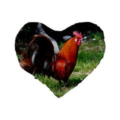 Rooster Standard 16  Premium Heart Shape Cushion  from ArtsNow.com Back