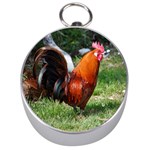 Rooster Silver Compass