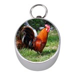 Rooster Silver Compass (Mini)