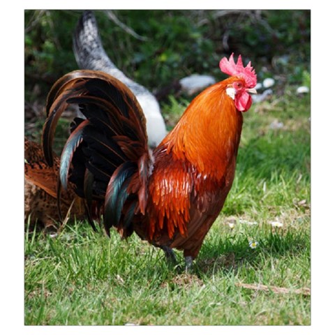 Rooster Drawstring Pouch (Large) from ArtsNow.com Front