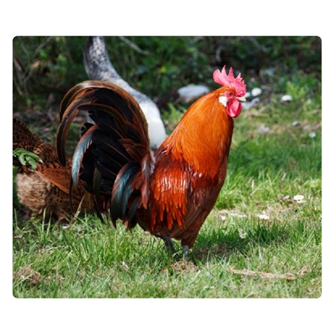 Rooster Double Sided Flano Blanket (Small) from ArtsNow.com 50 x40  Blanket Front