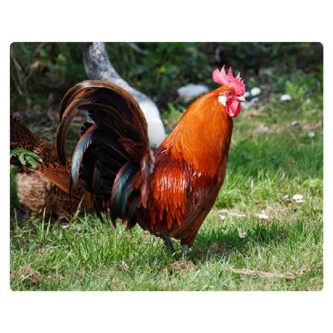 Rooster Double Sided Flano Blanket (Medium) from ArtsNow.com 60 x50  Blanket Front