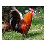 Rooster Double Sided Flano Blanket (Large)