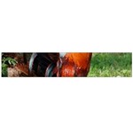 Rooster Flano Scarf (Large)