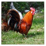 Rooster Large Satin Scarf (Square)