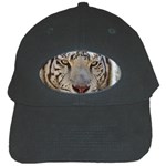 White Tiger 2 Black Cap