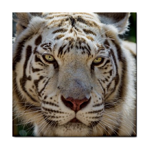 White Tiger 2 Tile Coaster from ArtsNow.com Front