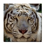 White Tiger 2 Tile Coaster